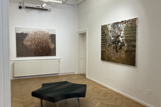 AnnArt Gallery, 2023 (06)