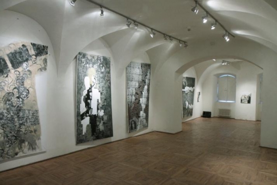 Cluj-Napoca Art Museum, 2011 (01)