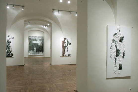 Cluj-Napoca Art Museum, 2011 (02)