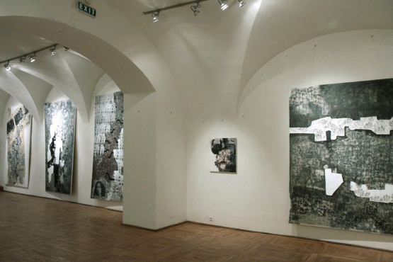 Cluj-Napoca Art Museum, 2011 (03)