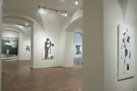 Cluj-Napoca Art Museum, 2011 (04)