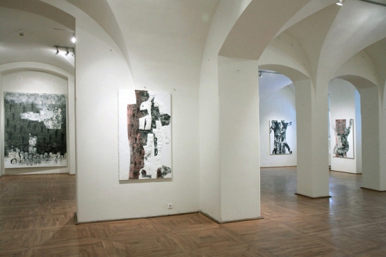 Cluj-Napoca Art Museum, 2011 (05)