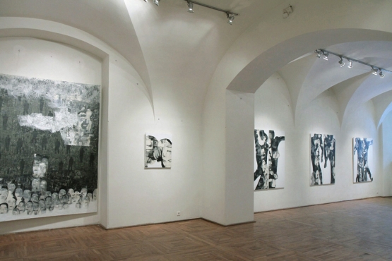 Cluj-Napoca Art Museum, 2011 (06)