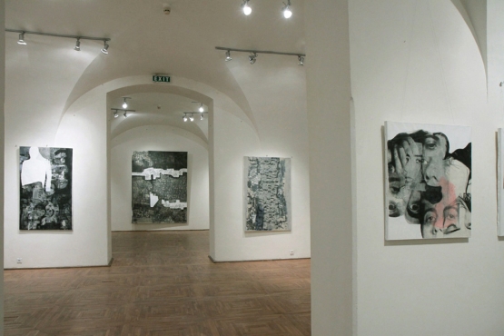 Cluj-Napoca Art Museum, 2011 (07)
