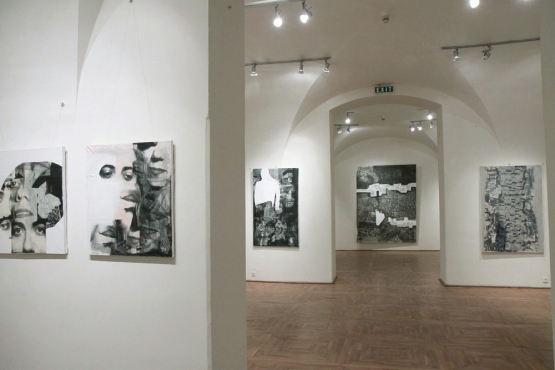 Cluj-Napoca Art Museum, 2011 (08)