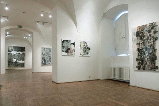 Cluj-Napoca Art Museum, 2011 (09)