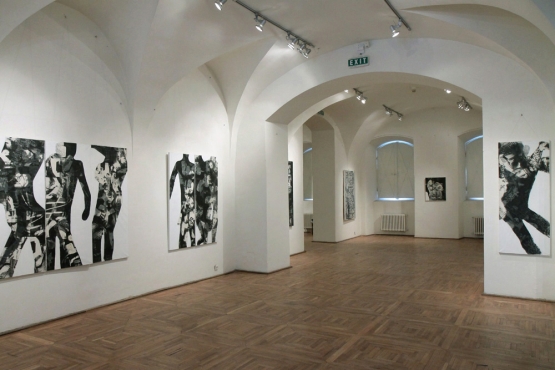 Cluj-Napoca Art Museum, 2011 (13)