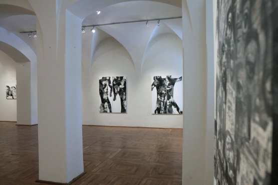 Cluj-Napoca Art Museum, 2011 (14)