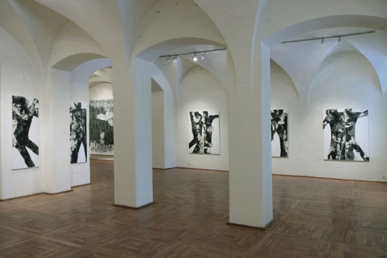 Cluj-Napoca Art Museum, 2011 (15)