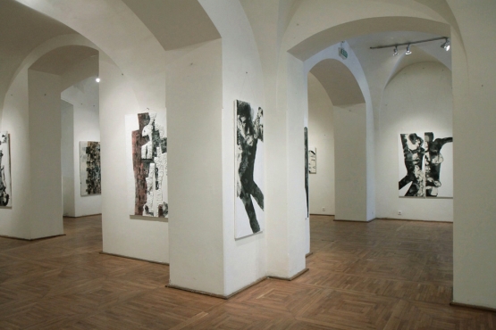 Cluj-Napoca Art Museum, 2011 (16)