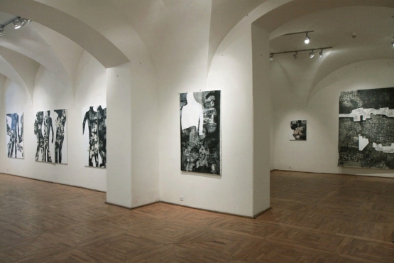 Cluj-Napoca Art Museum, 2011 (18)