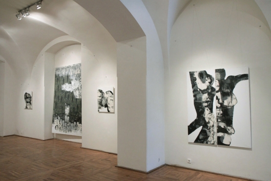 Cluj-Napoca Art Museum, 2011 (19)