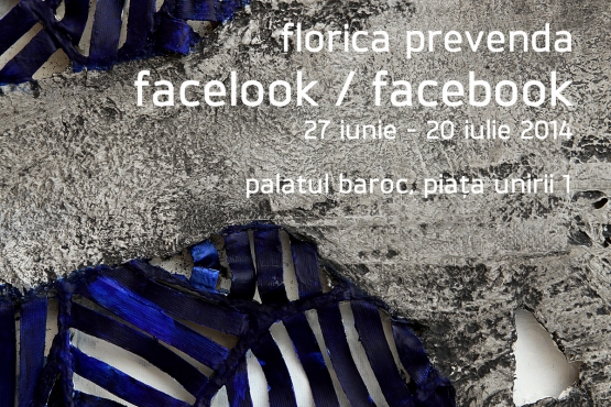 Timişoara Art Museum, 2014 (01)