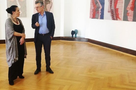 Timişoara Art Museum, 2014 (05)