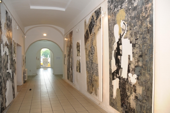 Arcade24 Gallery, Bistriţa, 2010 (09)